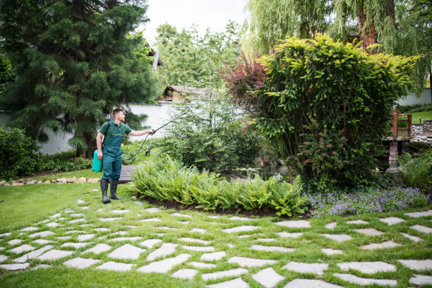Best Emergency Pest Control  in Annapolis Neck, MD