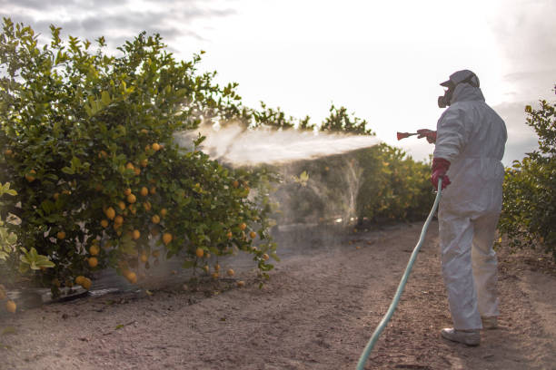 Pest Prevention Services in Annapolis Neck, MD
