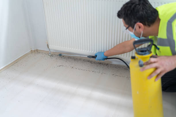 Best Flea Control Services  in Annapolis Neck, MD