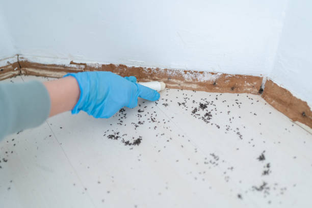 Best Commercial Pest Control Services  in Annapolis Neck, MD