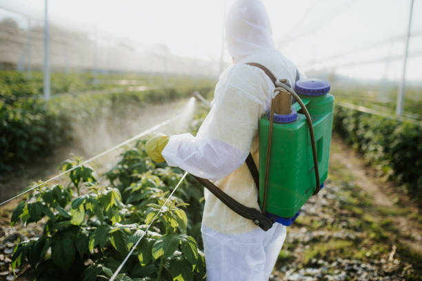 Best Pest Inspection Near Me  in Annapolis Neck, MD